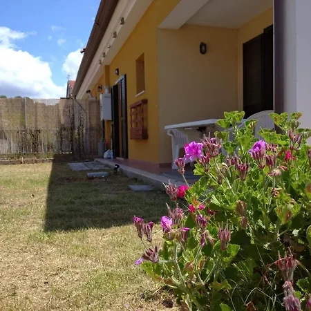 Giorni Fantastici - A 300 Mt Dal Mare E Dal Centro In Viale Privato Con Giardino E Parcheggio * 아셰아